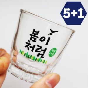 5+1 소주잔 주문제작 유리잔 각인 술잔 퇴사선물 집들이 신혼선물 커스텀 처음처럼 A 그린