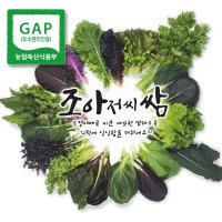 [조아쌈] GAP 인증 모듬 쌈채소 샐러드 야채 당일 수확, 당일 발송 정기구독