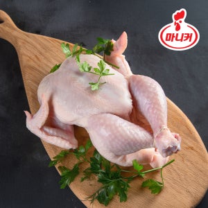 국내산 냉장 생닭 6호 9호 11호 12호 500g 당일생산 육계 통닭 삼계탕용 닭 백숙용