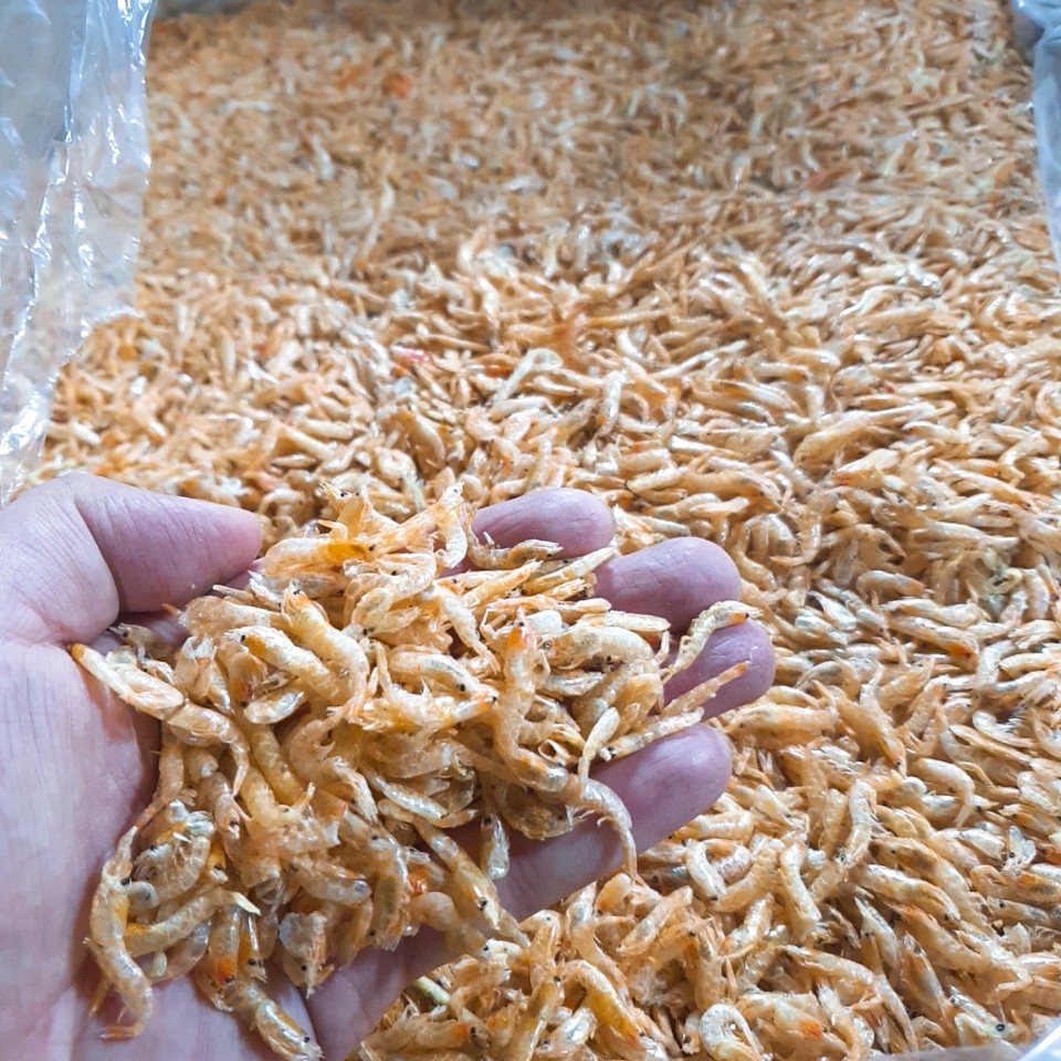 도매/업소용 건새우 건보리새우 약10kg 1박스 대용량 벌크형 다시 육수 국물용