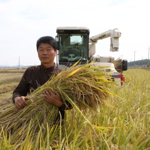 한울영농 2023 하이아미 쌀 20kg키로