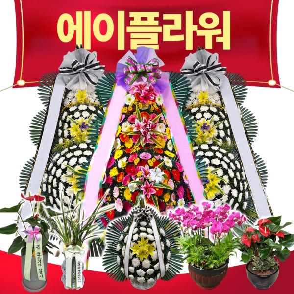 화환 근조 축하 개업 화분 결혼식 장례 장례식 웨딩 꽃 동양란 전국 서울 부산 배달서비스