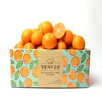 제주 하우스감귤 수라향 신비향 꼬마 카라향 1kg 3kg 5kg