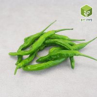 꽈리고추 특 2kg 4kg