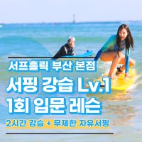 [서프홀릭 부산본점] 부산서핑/송정서핑 강습(2시간) LV1 1회 (입문) 레슨