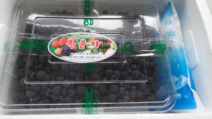 26년 <b>복분자</b> 생과 5kg ,10kg 토종<b>복분자</b> 예약