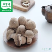 송고버섯 송화 고송 산지직송 500g 1kg송화고 이슬송이 못난이아닌 실속형 수수한맘