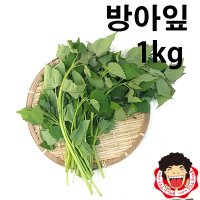 똘박이 방아잎1kg(1봉)