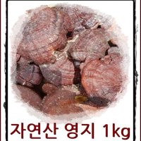 산에서 따온 자연산 야생 영지버섯 1kg