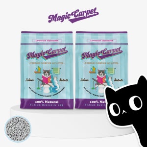 매직카펫 고양이 벤토나이트 모래 로우트랙 (굵은입자), 7kg, 2개