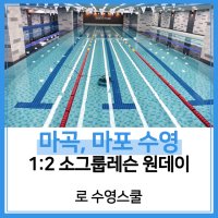 [로 수영스쿨 공항 마곡 마포] 1:2레슨 원데이티켓