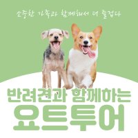 부산 해운대 광안리 더베이101 요트투어 요트대여 반려견투어 유람선 보트앤