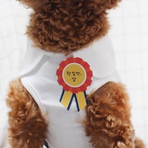 강아지 고양이 상장 펫 포토 스티커