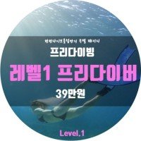 프리다이빙 자격증 프리다이버 레벨1 (서울, 경기, 동해, 제주)