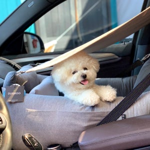 두그루 강아지카시트 차량용 애견 차시트 [올라운드L 드라이빙킷-그레이콤비] 그늘막포함