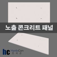 외벽마감재 노출 콘크리트 패널 건식시공 1장