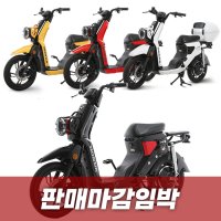 (혼다정품)배달용 출퇴근용 전기스쿠터 혼다 전동커브 H2