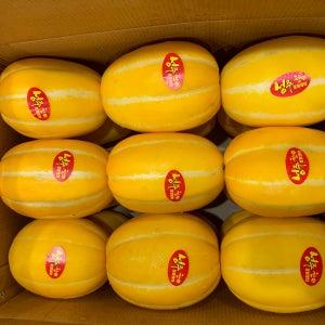 성주참외 선물용 고당도 꿀참외 산지직송 3kg 5kg 10kg