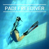 PADI FREEDIVER 자격증 ( 패디 프리다이버 )