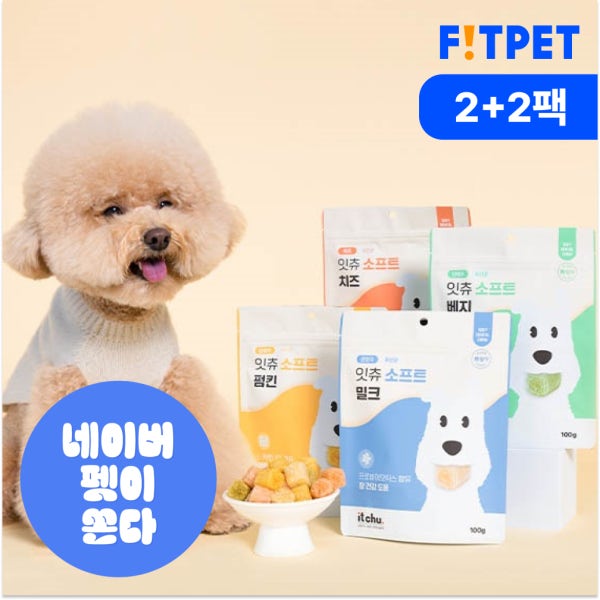 잇츄 소프트 강아지 덴탈껌 부드러운 간식 양치껌 노견 시니어 2+2