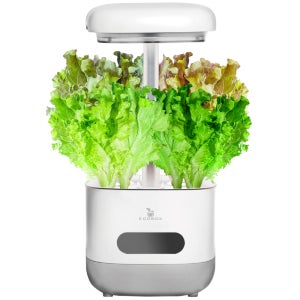 에코박스 LED 수경재배기 식물재배기