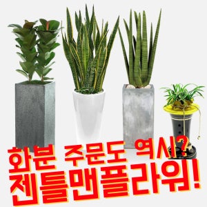 이사선물 인테리어 공기청정 선물 승진난