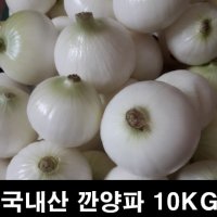 권가네 간편하고 신선한 국내산 23년산 깐양파 햇양파 신선양파 10KG (왕특/특/상/중)