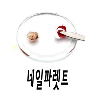 네일파렛트 젤네일 글리터 컬러 믹싱빠레뜨TK395209