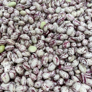 국산 깐호랑이콩 생강낭콩 제비콩 밤콩 500g 1kg 4kg