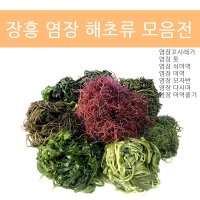 장흥꼬시래기 해초류 염장 꼬시래기 줄기 쇠 곰피 미역 다시마 톳 모자반 매생이 10kg