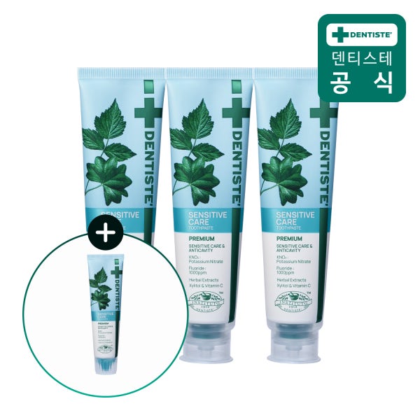 덴티스테 뉴센서티브케어 치약 200g 3개 + 60g 증정 불소 시린이케어