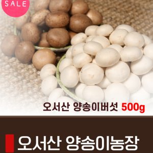 양송이버섯 최저가 가성비상품