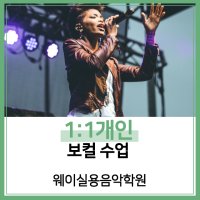 [웨이실용음악학원][서울][동대문] 1:1 보컬 개인 레슨 1개월 수강권