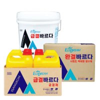 쌍곰 바르다 마르다 완결 급결 급결제 방수제 시멘트 1박스(2L 6개입) 총12L