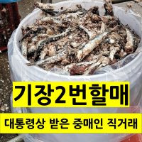 기장멸치젓갈 30kg15kg - 생멸치 천일염 소금간 멜젓 진젓 중매인