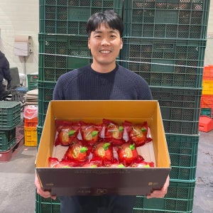 산지애 씻어나온 꿀사과 3kg 1box / 중대과, 청송산, 미시마, 봉지 세척사과 , 당도선별 12brix ↑
