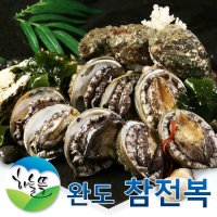 [하늘뜰] [하늘뜰]완도 참 전복 1kg(11-13미)