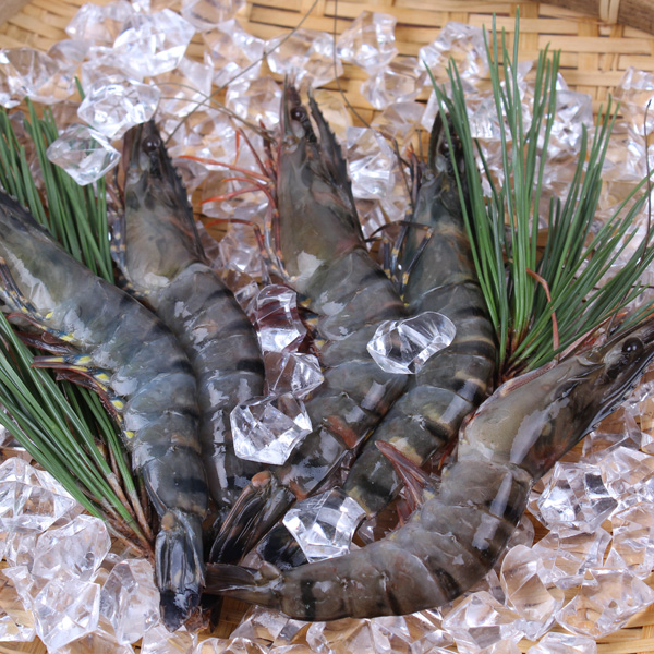 블랙타이거새우/보리새우/새우구이/새우요리/대하구이/냉동새우