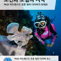 [다이브UFO] PADI 어드밴스드 오픈워터 다이버 코스