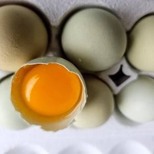 황태먹여 더 맛있는 자연방사란 청란 초란 청계알 30란