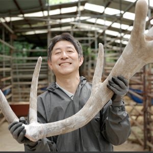 해담녹용 러시아계 엘크사슴 녹용 진액 건강즙 2.4kg 1달분