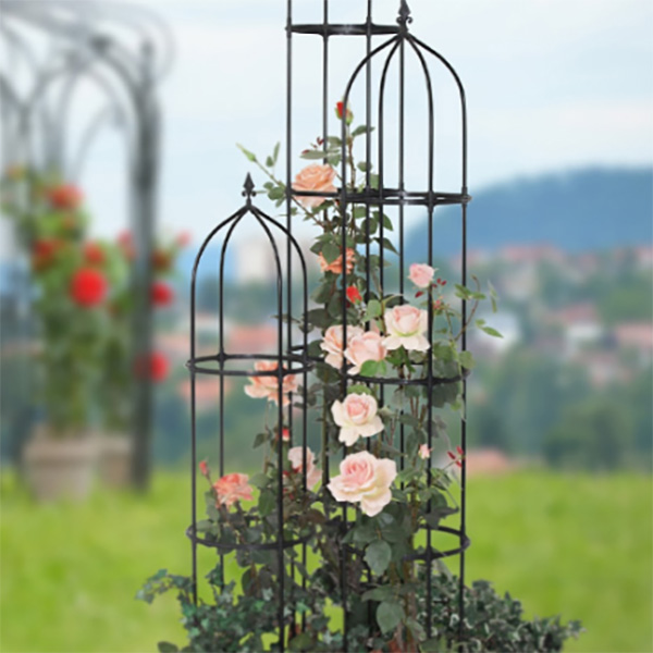 [가든팜] 오벨리스크 (심플S)