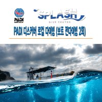 제주도 스쿠버 다이빙 제주스킨스쿠버 [스플래시 전용보트 펀다이빙2회]