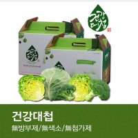 양배추사과즙 위염 착한 임산부 위에좋은 웰빙 몸에좋은 음료 맛있는 야채 즙