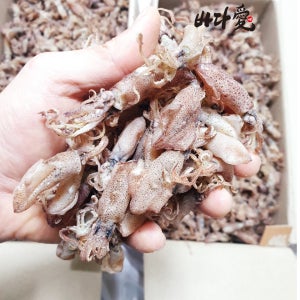 남해통영 말린꼴뚜기 마른꼴뚜기 건호래기 건꼴뚜기300g