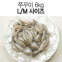 (A급,손질) 절단 냉동 쭈꾸미 6kg L/M사이즈(1kgx6팩)