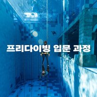 입문 프리다이빙 교육 // 기초과정 // 1일 코스