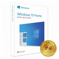 윈도우 10 홈 FPP 정품 USB 기업용 Microsoft Windows 10 Home