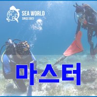 다이브마스터 과정 [부산]