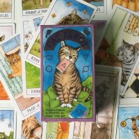 고양이 타로카드, 캣타로 / 화이트캣 블랙캣 CAT TAROT 타로 블루밍캣 스티커